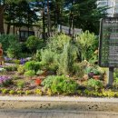 갈말근린공원 이미지