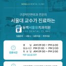 동백서울치과 네이버블로그