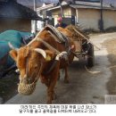 소달구지 - 중구 퇴계로4길 28 | 소달구지