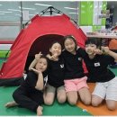 태권도세계도장 이미지