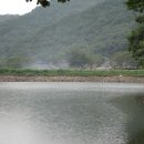 해송 농장 이미지