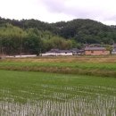 내동마을 입구 이미지