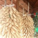 남한강로 이미지