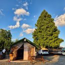 뽑기야 놀자 | [밀양] 엄마랑 놀자 글램핑, 2025 할로윈후기