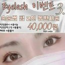 비니속눈썹