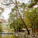 아트인아일랜드야영장 이미지