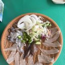 동명항 오징어난전 (양양, 속초 제철 맛집)