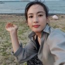 정다혜 카카오 검색결과