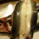 숲속장어 이미지