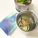 리턴 | 임신 선물과 직장인 피로 회복에 좋은 리빌딩 티, 리턴맘 후기