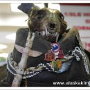 다람쥐마을 이미지