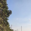 하나애견 이미지