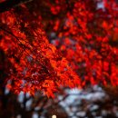 스포원파크 이미지