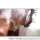 [매일복음(가해) 20-10-03] - "영들이 너희에게 복종하는 것을 기뻐하지 말고, 너희 이름이 하늘에 기록된 것을 기뻐하여라."(루카 10,17-24) 이미지