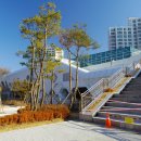 판교어린이도서관(마을) 이미지