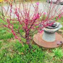 라온힐펜션 이미지