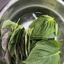 서진농장2 이미지