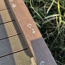 대신갈개 | 11월에 방문한 순천만국가정원, 순천만습지 / 스카이캡슐 대신 차로 이동하기🚘