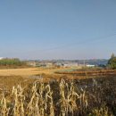 금옥농장 이미지