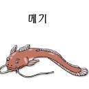 에스타이어