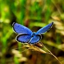 세종탑 행정사사무소 이미지