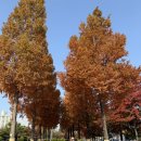 광명스피돔 자전거대여소 | 광명경륜장 스피돔(feat.즐기면 레저^_^ 몰입하면 ㅠ.ㅠ입니다)