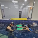 용인 기흥구 어린이 수영장 &amp; 구갈 구성 유아 유소년 성장운동 그룹 PT 수영센터