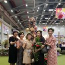 행보키꽃차 이미지