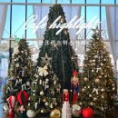 서수원주유소 | 수원 대형카페 서수원 브런치 맛집 하이라이트 크리스마스 트리사냥 내돈내산 후기