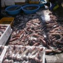 대게풍년 이미지