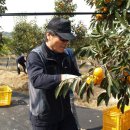 태선농장 이미지