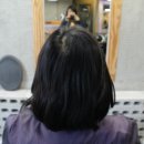 박양헤어샵