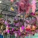 메디그린 | 2026 고양국제꽃박람회 첫날 후기 | 일산호수공원 포토존 꿀팁 총정리