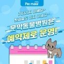 문막동물병원 이미지
