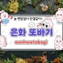 또바기마을 이미지
