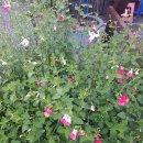 한림정역 이미지