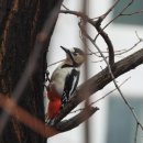 사기막골공원 이미지