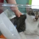 망미동물병원 이미지