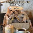 내 강아지 | 목포 대반동201, 강아지랑 다녀온 목포대교 뷰 애견동반 카페 솔직후기