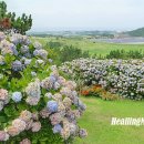 우도봉 이미지