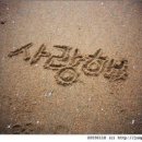 달구지사랑 이미지