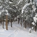 오랍드리산소길 이미지