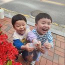 시립빛나는하남어린이집 이미지