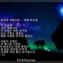 바람소리새소리 이미지