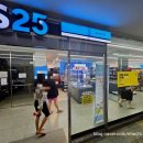 경포파인 | 강릉 경포 호텔 : 라카이 샌드파인 가든 트윈룸 후기