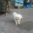 주원초등학교 이미지