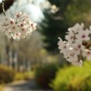 연필소묘 이미지