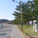 죽림어촌체험마을 이미지