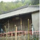 구상보건진료소 Daum카페