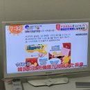 애몽 이미지